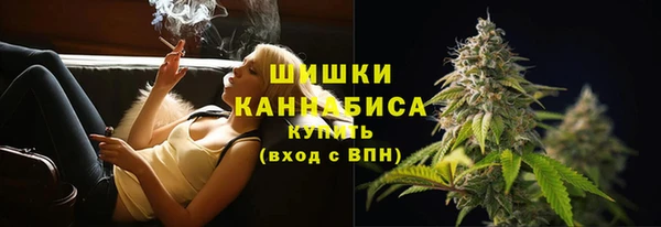 прущие крисы Надым