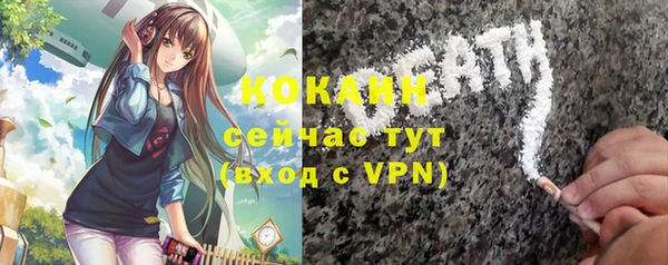 дживик Михайловск