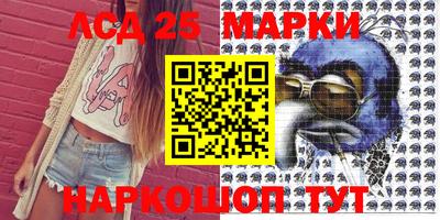 гидропоника Пенза