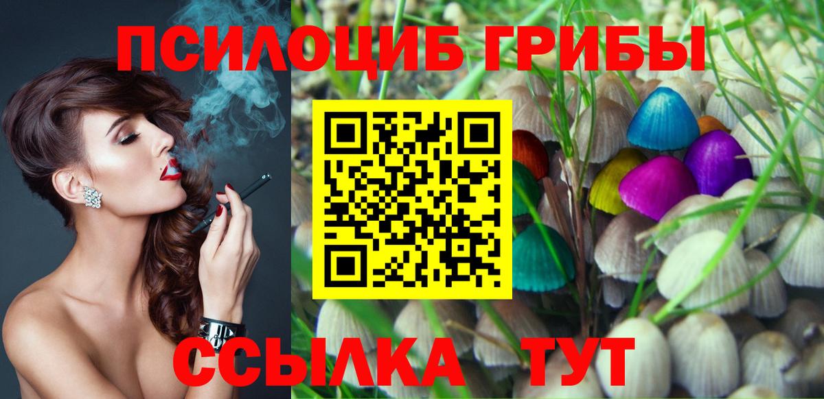 Галлюциногенные грибы GOLDEN TEACHER  Псилоцибиновые грибы Cubensis  Тында 