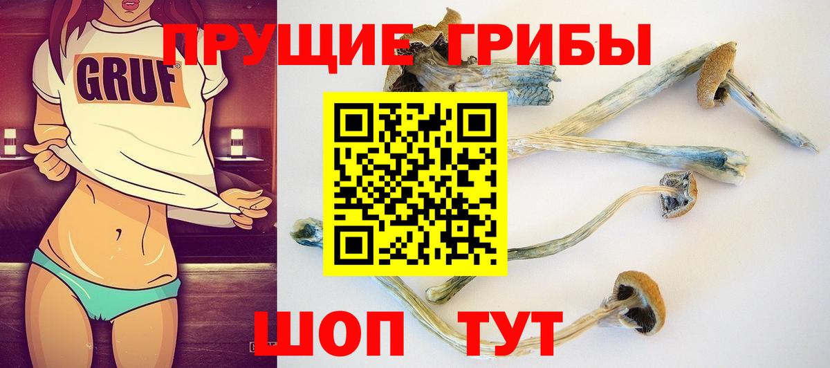 Галлюциногенные грибы мухоморы  Вход с VPN  Тында 