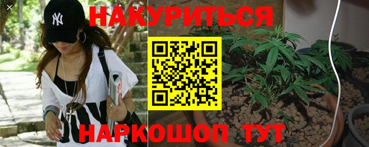 Бошки Шишки конопля  Бошки марихуана AK-47  Бошки Шишки индика  Тында  Бошки Шишки тримм 